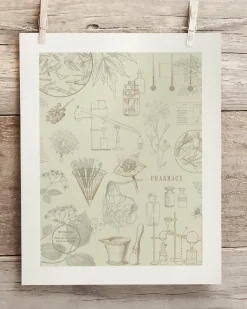 Cognitive Surplus Pharmacy Scientific Illustration Museum Print* Wall Art | Pharmacy