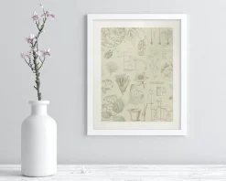 Cognitive Surplus Pharmacy Scientific Illustration Museum Print* Wall Art | Pharmacy