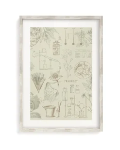 Cognitive Surplus Pharmacy Scientific Illustration Museum Print* Wall Art | Pharmacy