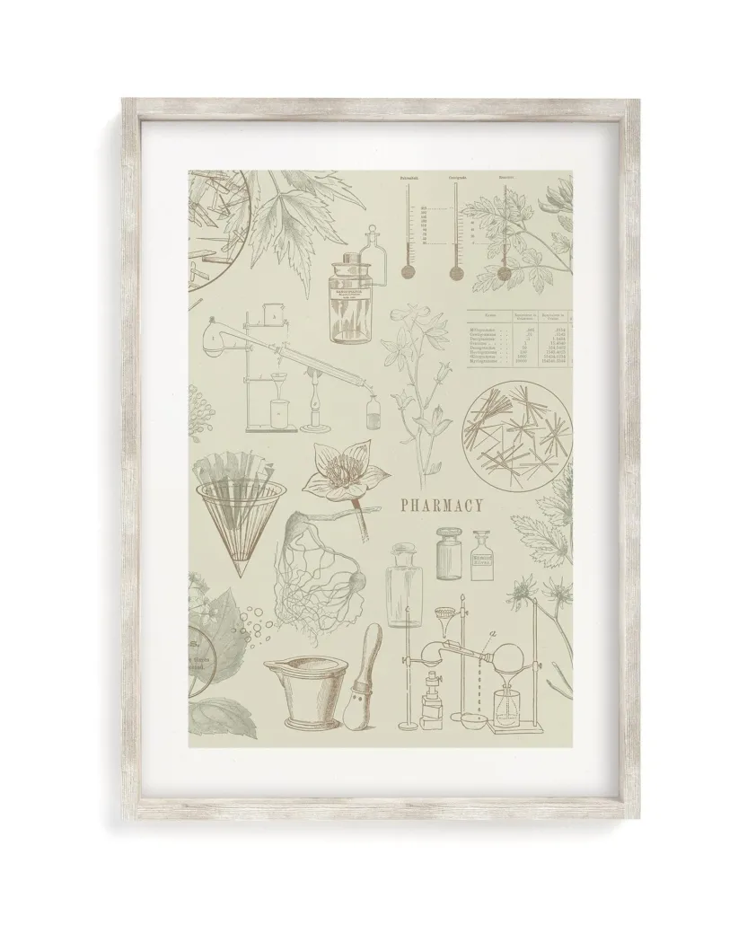 Cognitive Surplus Pharmacy Scientific Illustration Museum Print* Wall Art | Pharmacy