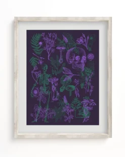 Cognitive Surplus Poisonous Plants Pl 2 Scientific Illustration Museum Print* Wall Art | Botany
