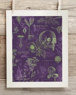 Cognitive Surplus Poisonous Plants Scientific Illustration Museum Print* Wall Art | Botany