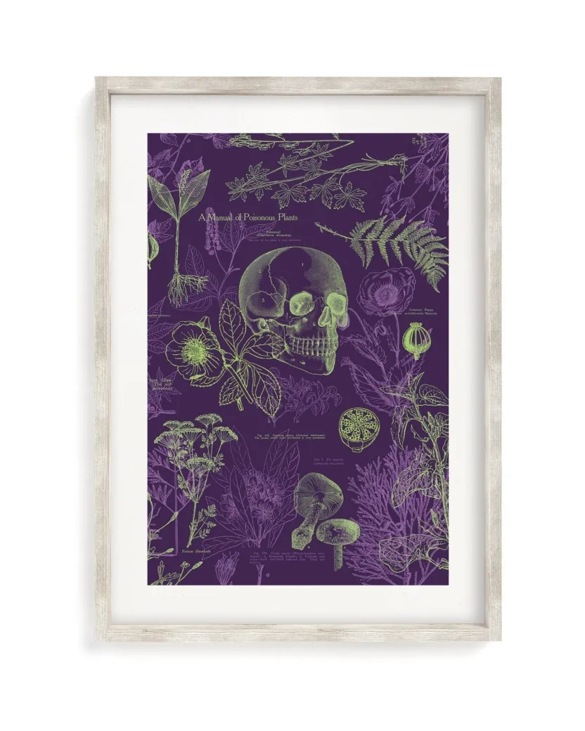 Cognitive Surplus Poisonous Plants Scientific Illustration Museum Print* Wall Art | Botany
