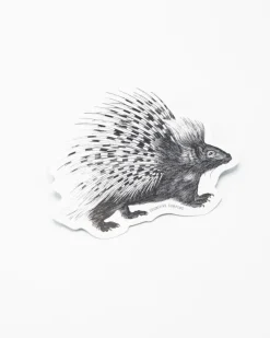 Cognitive Surplus Porcupine Sticker* Stickers | Biology
