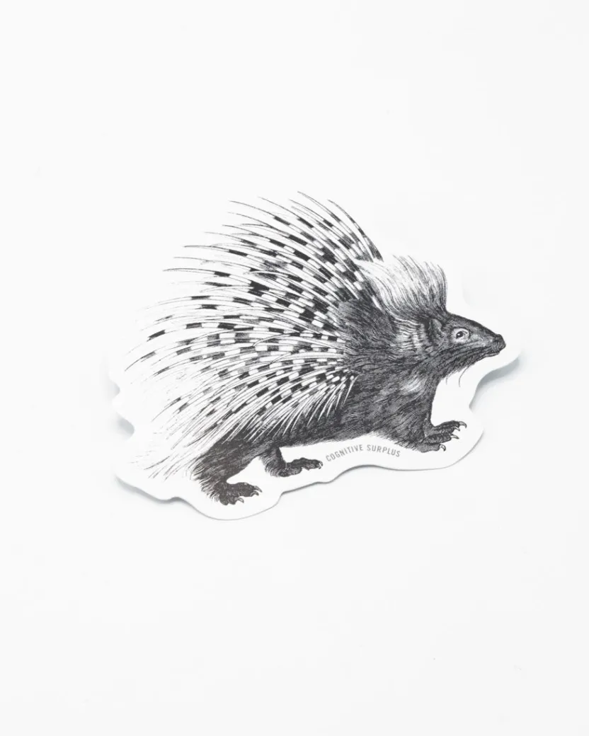 Cognitive Surplus Porcupine Sticker* Stickers | Biology