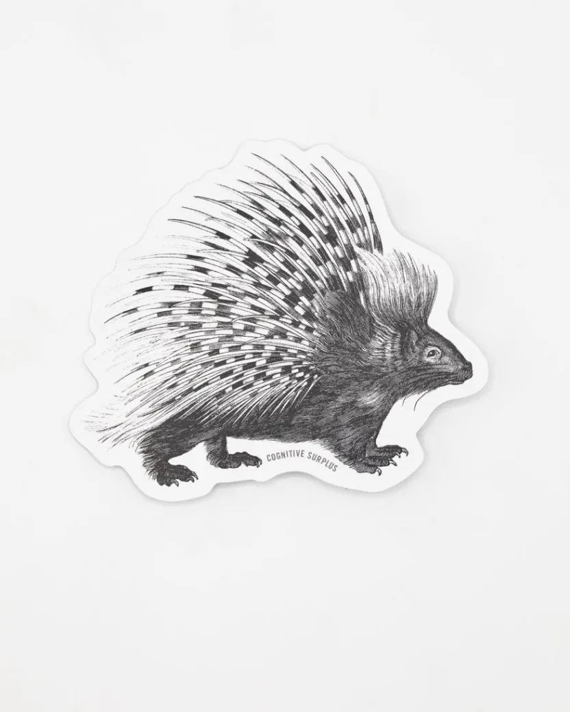 Cognitive Surplus Porcupine Sticker* Stickers | Biology