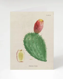 Cognitive Surplus Prickly Pear Cactus Greeting Card - Science Stationery | * Greeting Cards | Botany