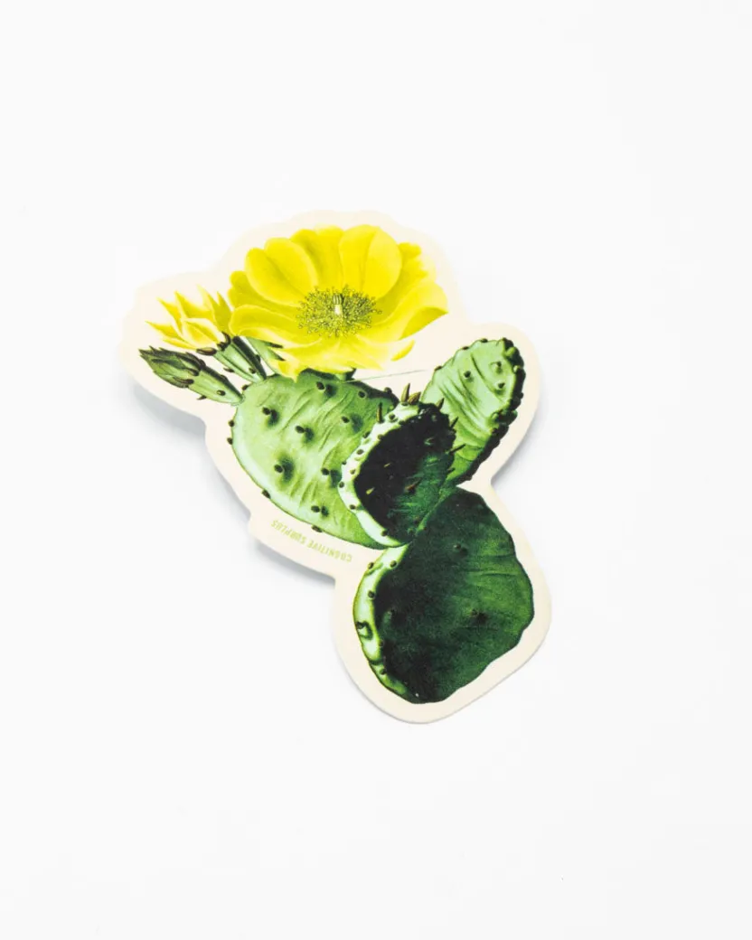 Cognitive Surplus Prickly Pear Sticker* Stickers | Botany