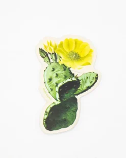 Cognitive Surplus Prickly Pear Sticker* Stickers | Botany