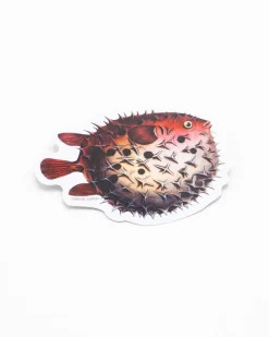 Cognitive Surplus Pufferfish Sticker* Stickers | Marine Biology