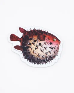 Cognitive Surplus Pufferfish Sticker* Stickers | Marine Biology