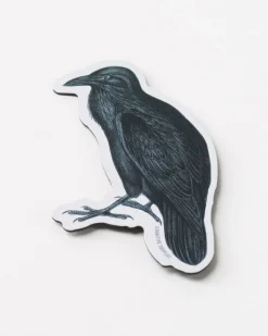 Cognitive Surplus Raven Magnet* Magnets | Ornithology