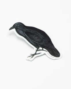 Cognitive Surplus Raven Sticker* Stickers | Ornithology