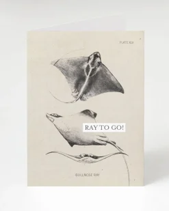 Cognitive Surplus Ray to Go! Ocean Congratulations Card | * Greeting Cards