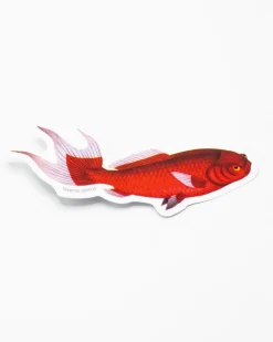 Cognitive Surplus Red Fish Sticker* Stickers | Marine Biology