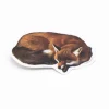 Cognitive Surplus Red Fox Sticker* Stickers | Biology