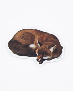 Cognitive Surplus Red Fox Sticker* Stickers | Biology