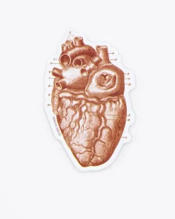 Cognitive Surplus Red Heart Sticker* Stickers | Medicine