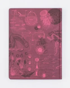 Cognitive Surplus Reproduction Notebook - Hardcover | Medicine Gift* The Hypothesis | Medicine