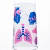 Cognitive Surplus Retro Anatomy Drinking Glass – Tumbler Glass | * Drinking Glasses | Medicine