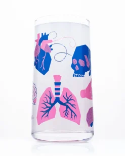 Cognitive Surplus Retro Anatomy Drinking Glass – Tumbler Glass | * Drinking Glasses | Medicine