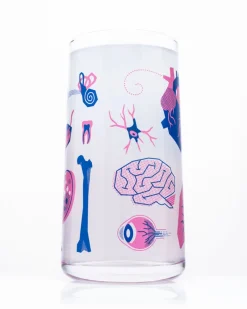 Cognitive Surplus Retro Anatomy Drinking Glass – Tumbler Glass | * Drinking Glasses | Medicine