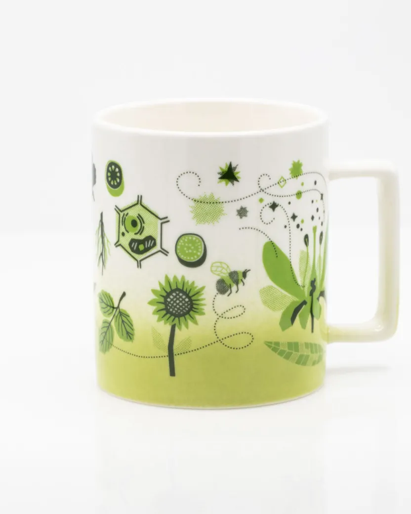 Cognitive Surplus Retro Botany Mug - Plants Mug | * Mugs | Botany