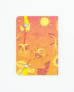 Cognitive Surplus Retro Botany Observation Softcover* The Observation | Botany