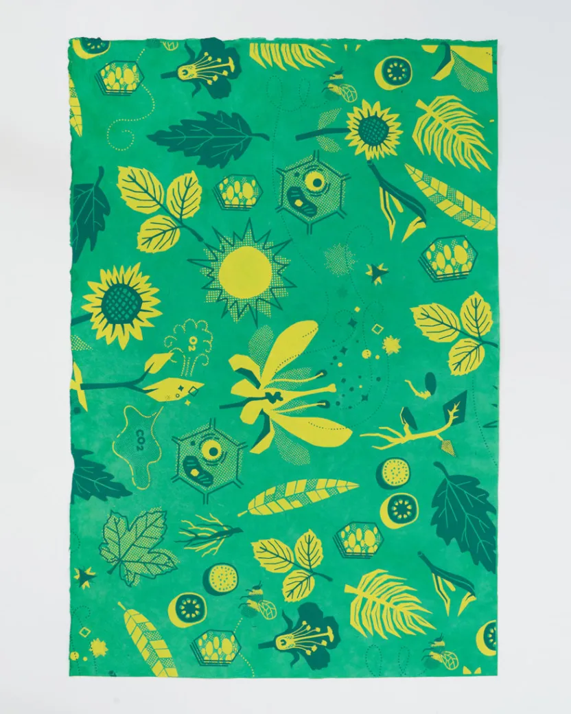 Cognitive Surplus Retro Botany Wrapping Paper* Wrapping Paper | Botany