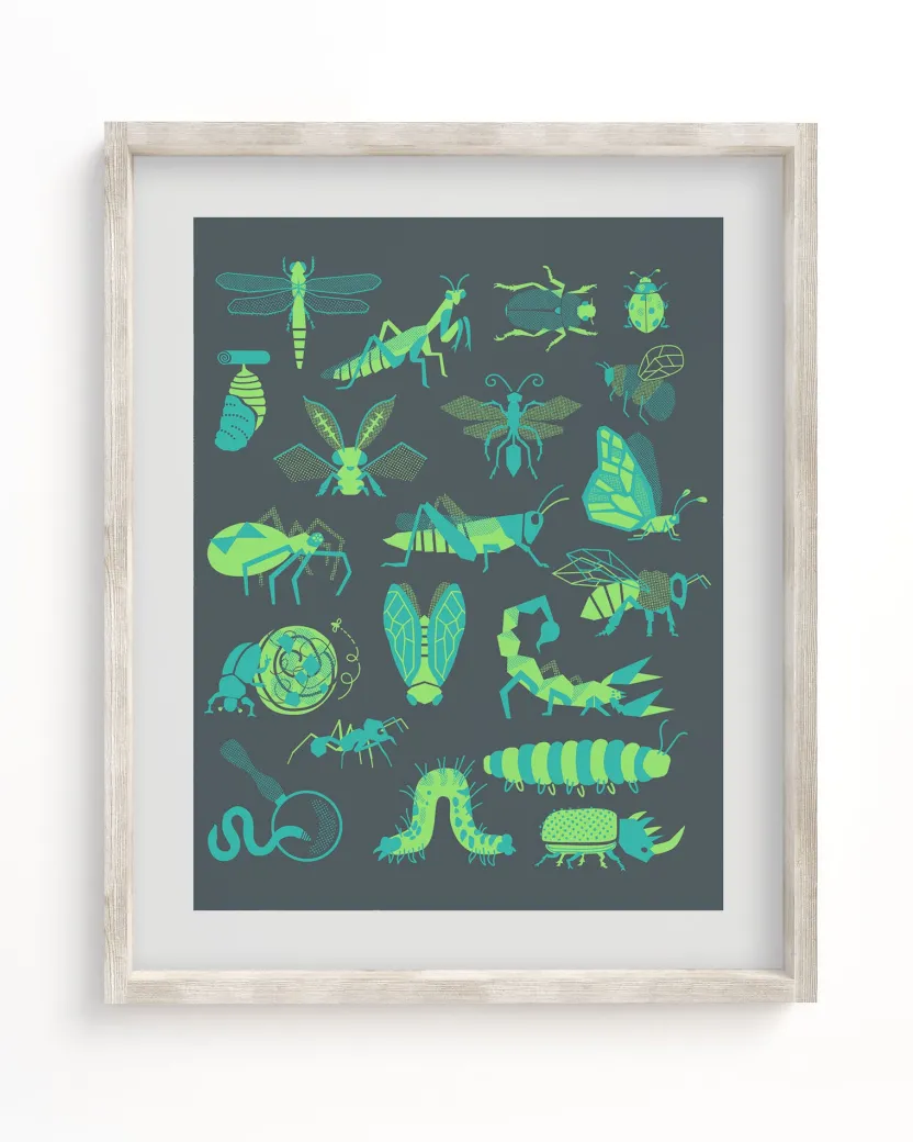 Cognitive Surplus Retro Insects Museum Print* Wall Art | Entomology