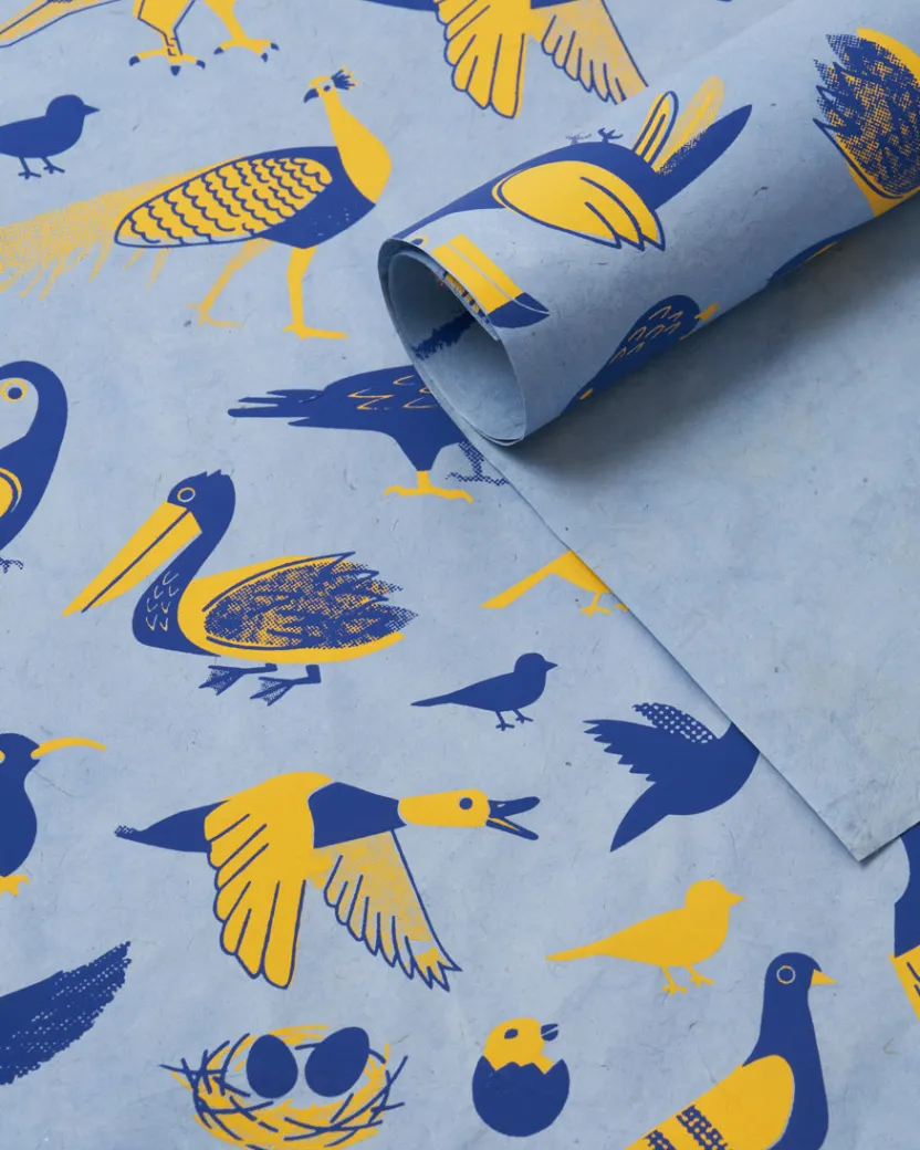 Cognitive Surplus Retro Ornithology Wrapping Paper* Wrapping Paper | Ornithology