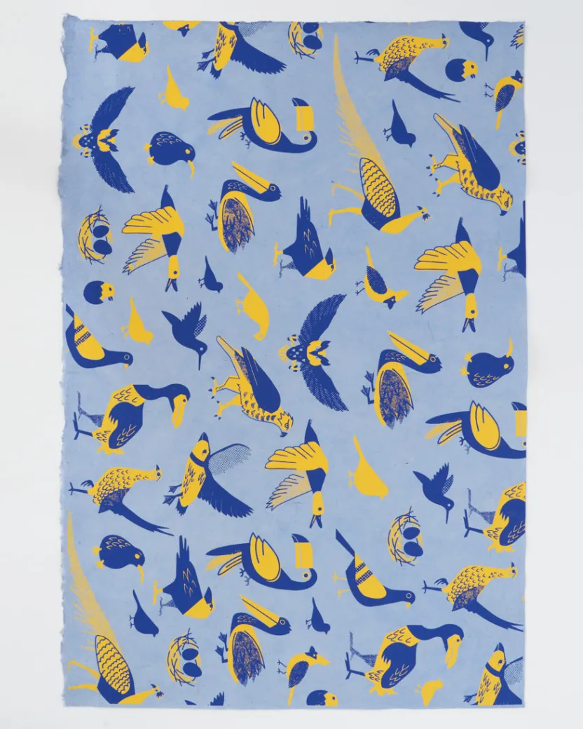 Cognitive Surplus Retro Ornithology Wrapping Paper* Wrapping Paper | Ornithology