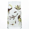 Cognitive Surplus Retro Paleontology Drinking Glass – Tumbler Glass | * Drinking Glasses | Paleontology