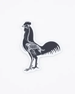 Cognitive Surplus Rooster X-Ray Sticker* Stickers | Veterinary Science