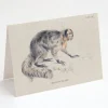 Cognitive Surplus Saki Monkey Greeting Card - Biology Stationery | * Greeting Cards | Biology