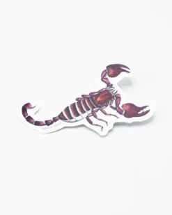 Cognitive Surplus Scorpion Sticker* Stickers | Entomology