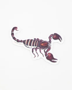 Cognitive Surplus Scorpion Sticker* Stickers | Entomology