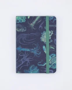 Cognitive Surplus Sea Monsters: Octopus & Squid Observation Softcover* The Observation | Marine Biology