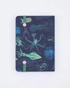 Cognitive Surplus Sea Monsters: Octopus & Squid Observation Softcover* The Observation | Marine Biology