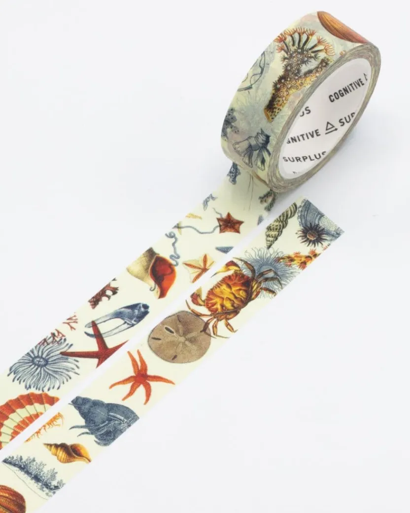 Cognitive Surplus Sea Shore Washi Tape* Washi Tape | Marine Biology