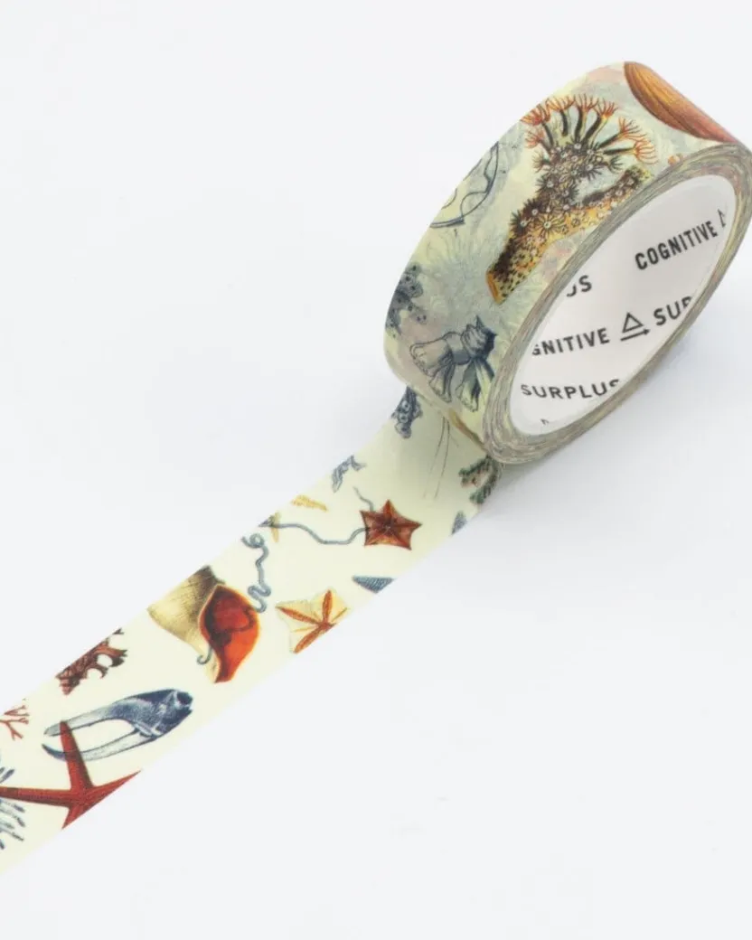 Cognitive Surplus Sea Shore Washi Tape* Washi Tape | Marine Biology