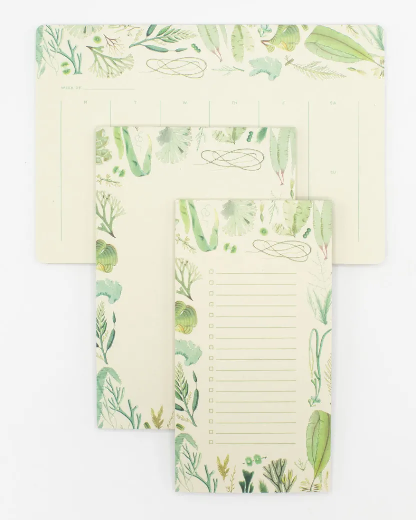 Cognitive Surplus Seaweed Notepads - Marine Market Pad | * Notepads | Marine Biology