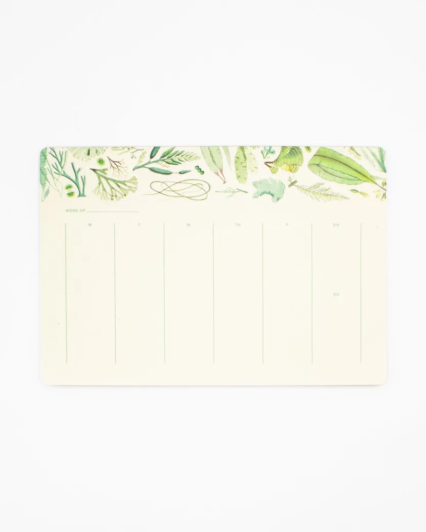 Cognitive Surplus Seaweed Notepads - Marine Market Pad | * Notepads | Marine Biology