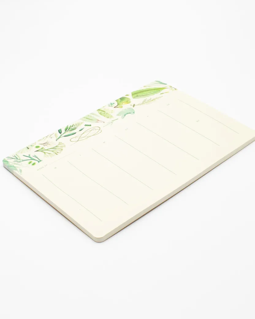 Cognitive Surplus Seaweed Notepads - Marine Market Pad | * Notepads | Marine Biology