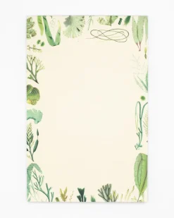 Cognitive Surplus Seaweed Notepads - Marine Market Pad | * Notepads | Marine Biology