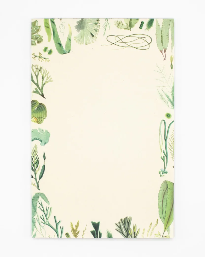 Cognitive Surplus Seaweed Notepads - Marine Market Pad | * Notepads | Marine Biology