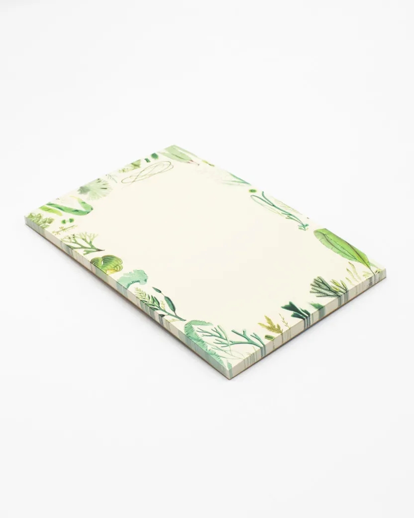 Cognitive Surplus Seaweed Notepads - Marine Market Pad | * Notepads | Marine Biology