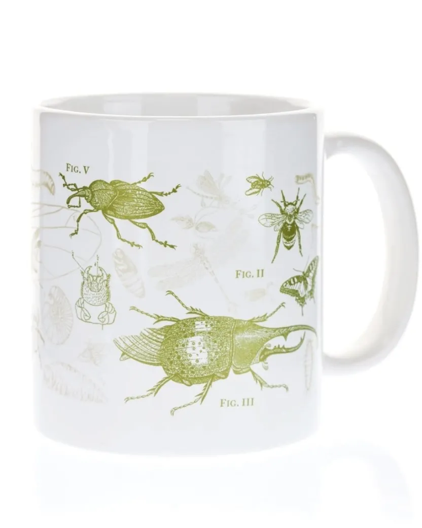 Cognitive Surplus SECONDS: Entomology Butterflies & Insects 20oz Mega Mug* Entomology