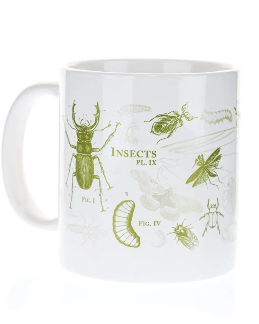 Cognitive Surplus SECONDS: Entomology Butterflies & Insects 20oz Mega Mug* Entomology