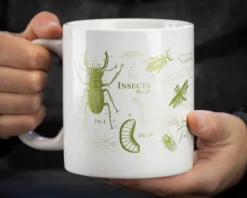 Cognitive Surplus SECONDS: Entomology Butterflies & Insects 20oz Mega Mug* Entomology